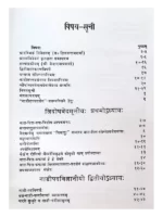 नाड़ी-तत्त्व-दर्शनम् </br> Nadi-Tattva-Darshanam - Image 2