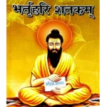 सत्यार्थ प्रकाश (संपादक पं. भगवद्दत) </br> Satyarth Prakash (By Pt. Bhagvatdutt)