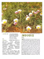 आयुर्वेद जड़ी बूटी रहस्य </br> Ayurveda jadi buti Rahasya (set of 3 Vol.) - Image 4