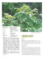 आयुर्वेद जड़ी बूटी रहस्य </br> Ayurveda jadi buti Rahasya (set of 3 Vol.) - Image 5