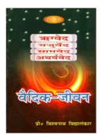 Vaidik Jeevan
