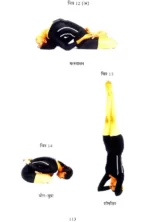 यौगिक चिकित्सा </br> Yogic Chikitsa - Image 8