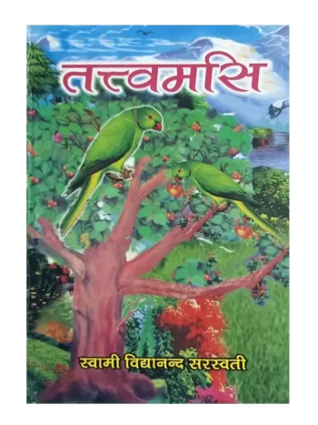 तत्त्वमसि, Tattvamasi