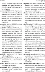 YOGA KOSA : The foremost disctionary of Yoga terms - Image 3