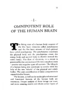 Human Brain - Apparent Boon Of the Omnipotent - Image 4