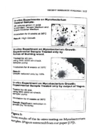 Applied Science of Yagya For Health & Environment - Image 6